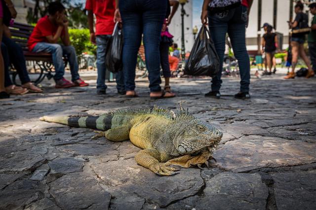 003 Guayaquil.jpg